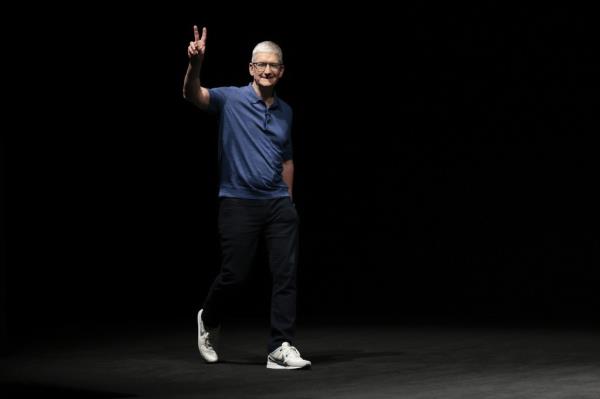 dog playing with owner behind him