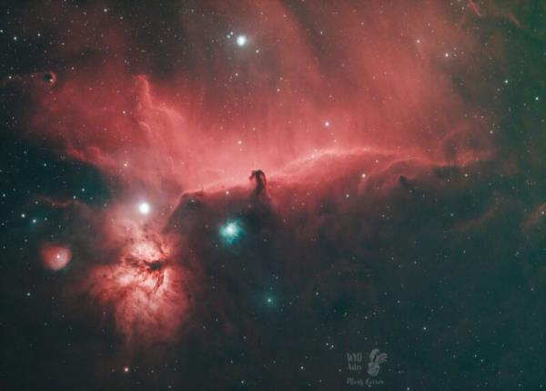 Large, swirly red cloud of gas with a horsehead-shaped indentation and numerous bright foreground stars.