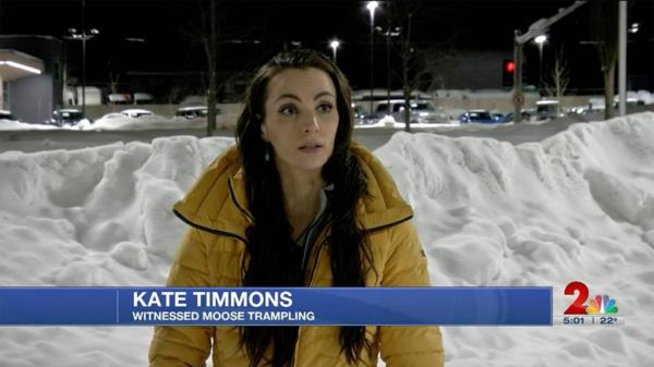 Kare Timmons, who captured video of the moose attack and rushed to help the victim.