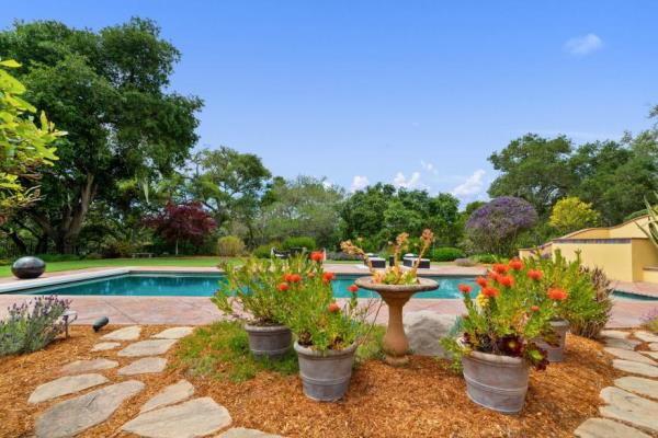 The backyard.