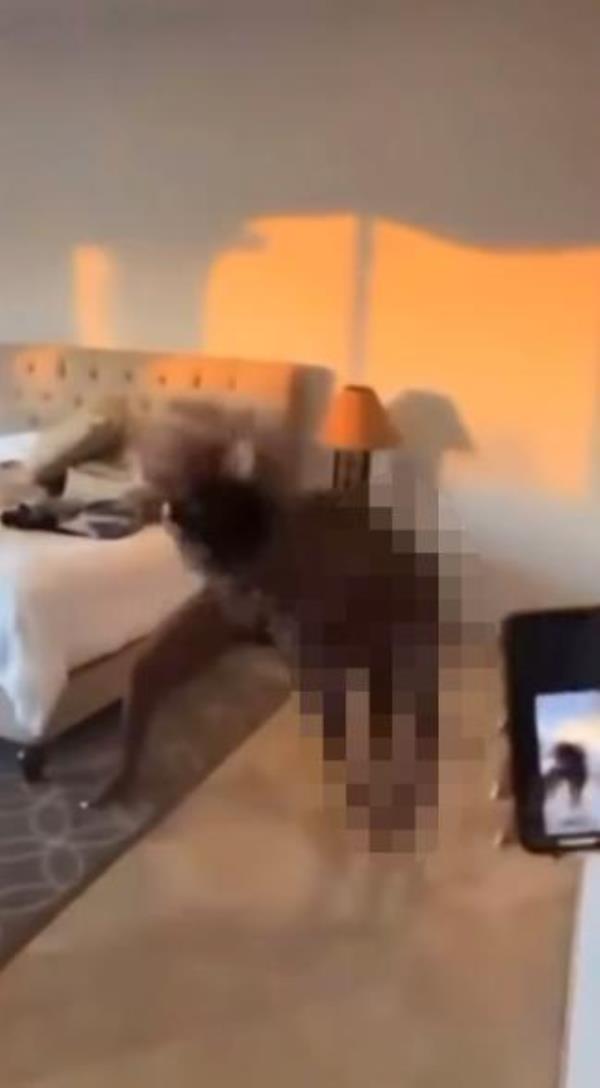 A disturbing video later emerged of Robinson being savagely beaten at the luxury rental villa by one of the women in the group of friends who accompanied her to Mexico.
