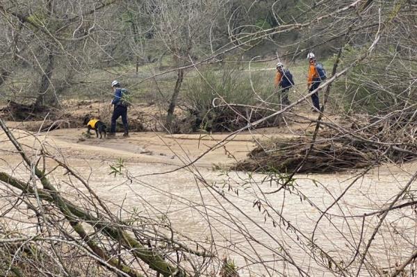 The Sheriff's Office has issued an updated press release on the search for missing 5-year-old Kyle Doan.