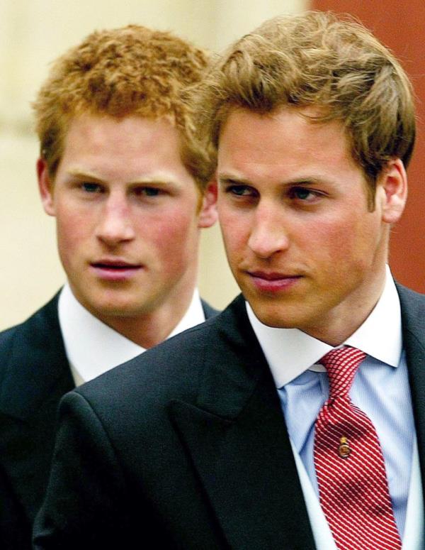 Prince Harry and Prince William