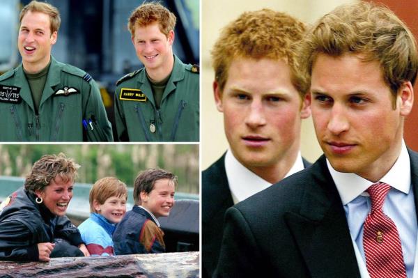 Harry noted how William could never board a plane with his father, but nobody in the family cared who he traveled with.