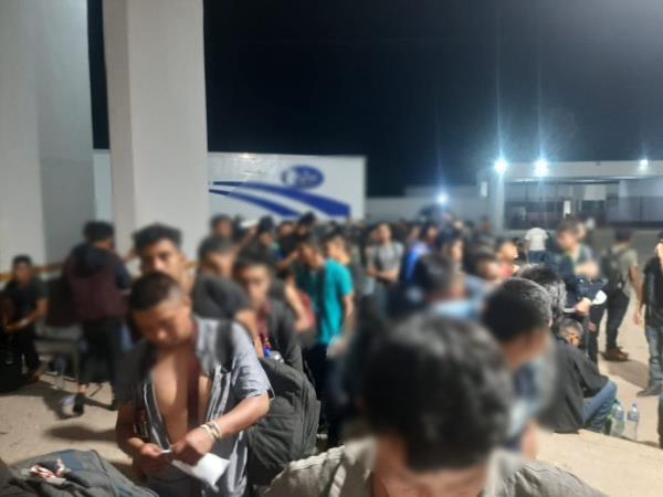migrants