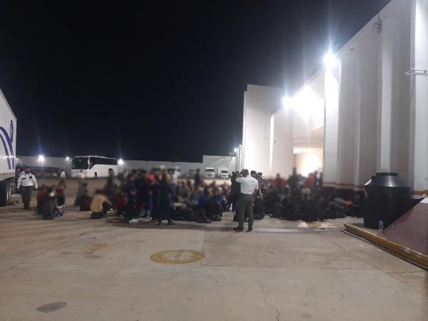 migrants