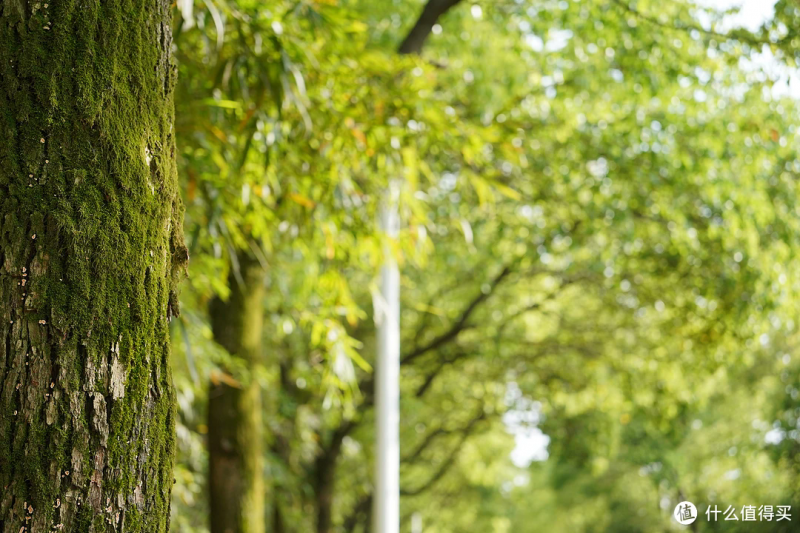 谁才是索尼全画幅狗王——28-60与28-70不严谨评测