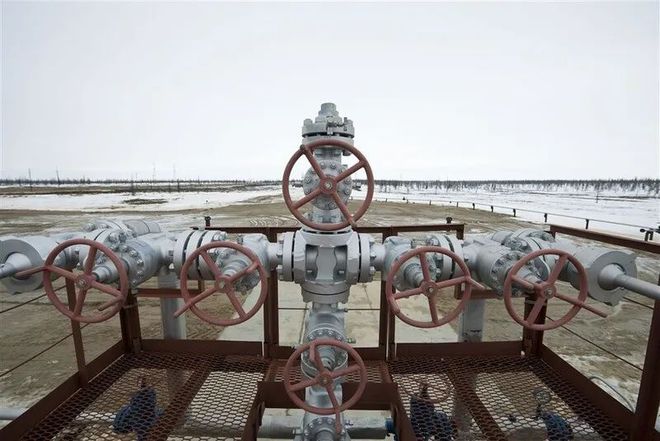 乌克兰击落荷兰_乌克兰开始与荷兰进行安全保障磋商_2021荷兰和乌克兰