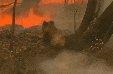 冰岛警告游客远离喷出熔岩和有毒气体的火山_火山喷出的气体有毒吗_火山气态喷出物