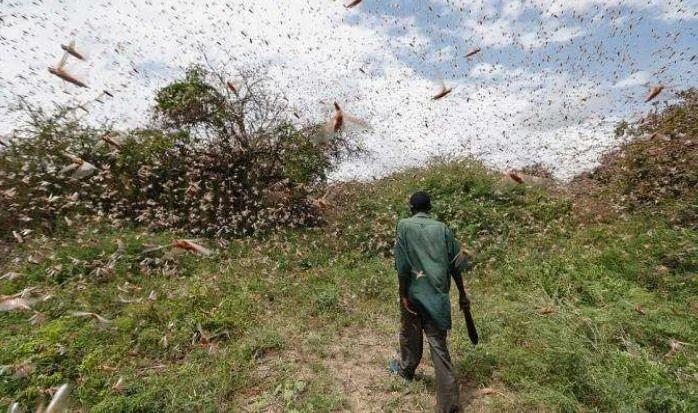 火山气态喷出物_冰岛警告游客远离喷出熔岩和有毒气体的火山_火山喷出的气体有毒吗