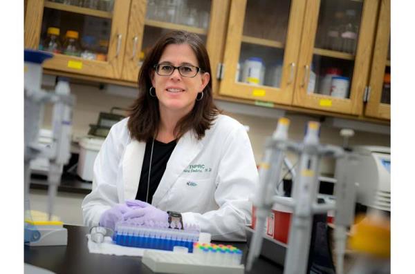 Combined antibiotics more effective against Lyme disease