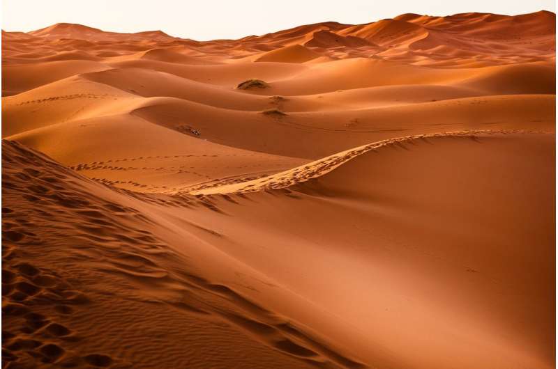 Sahara Desert